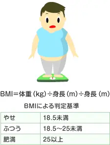 BMI＝体重（kg）÷身長（m）÷身長（m）　BMIによる判定基準　やせ：18.5未満、ふつう：18.5～25未満、肥満：25以上
